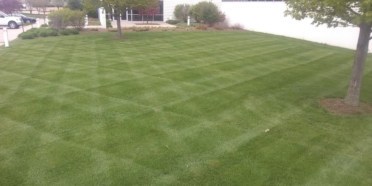 lawn-maintenance-instructions-new-arrivals